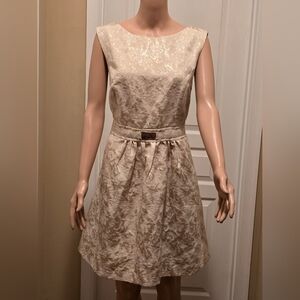 Beautiful Size 14 Jennifer Lopez Cocktail Dress